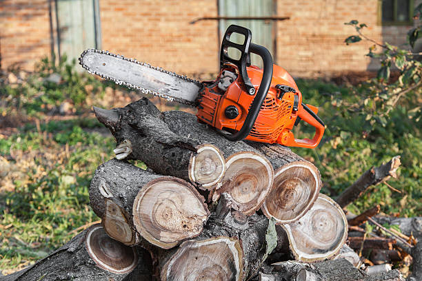 Best Tree Pruning Services  in Salem, UT